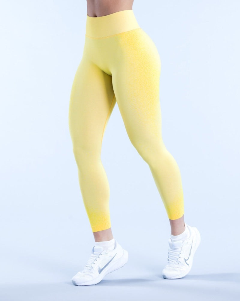 Ombre Evolve - Leggings
