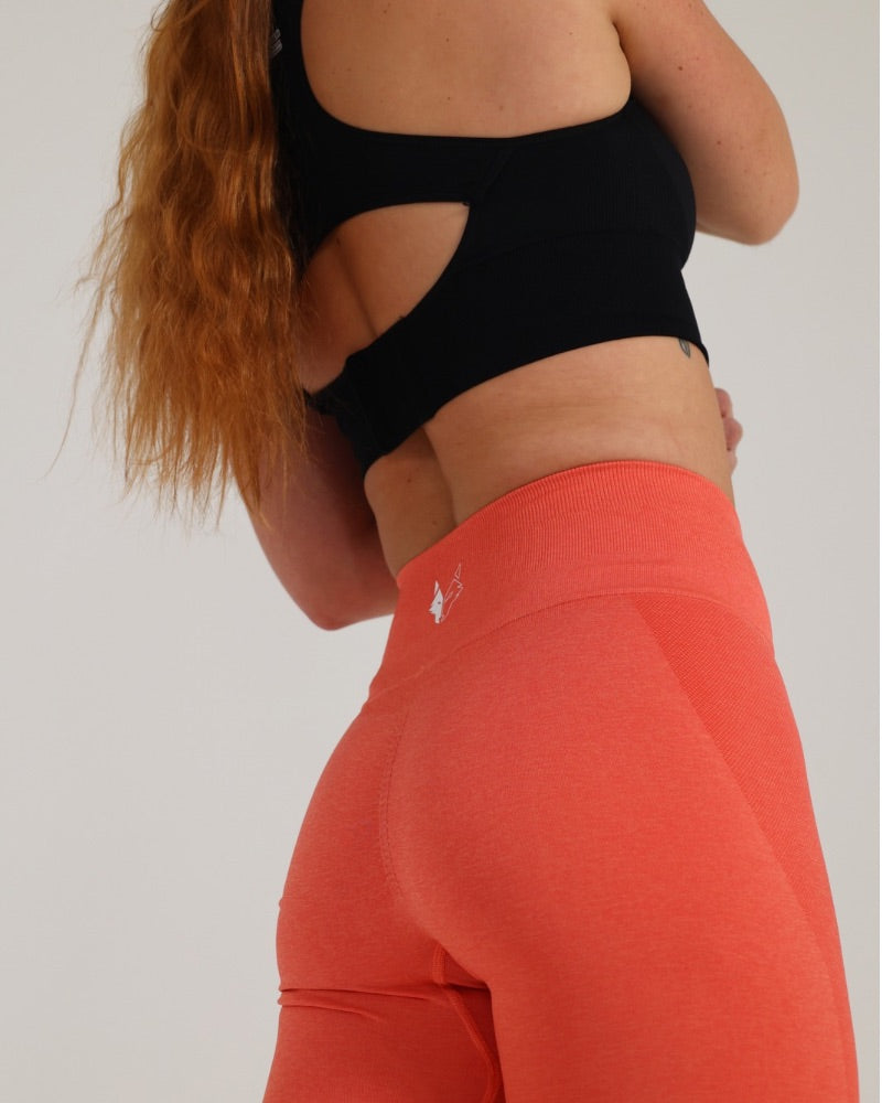 The Ultimate Legging - 724438.myshopify.com