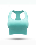 Statement Sports Bra (New) - 724438.myshopify.com