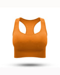 Statement Sports Bra (New) - 724438.myshopify.com