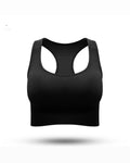 Statement Sports Bra (New) - 724438.myshopify.com